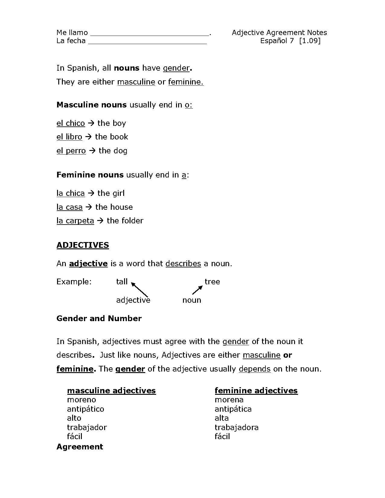 spanish noun adjective agreement examples