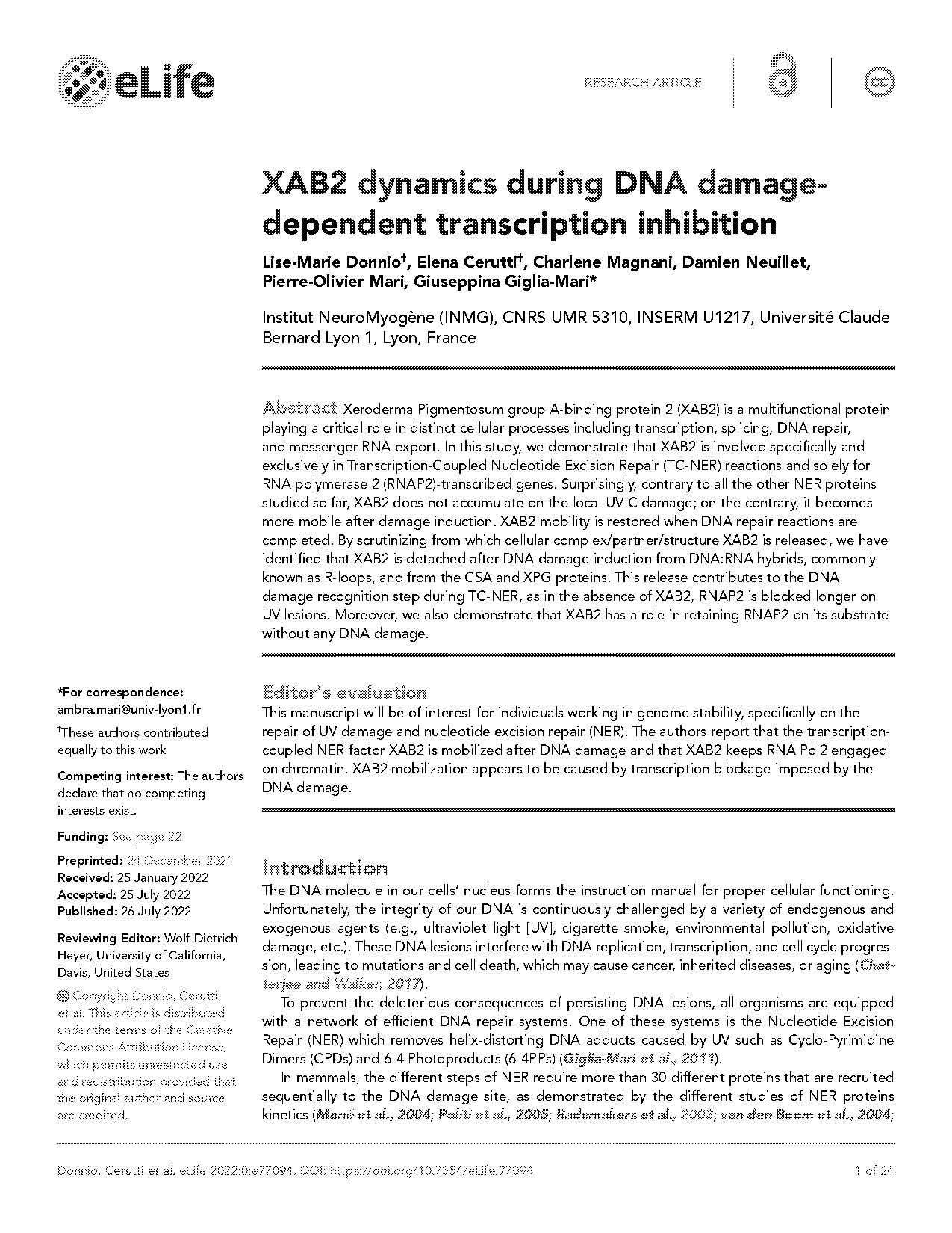 dna structure damage inhibit transcription